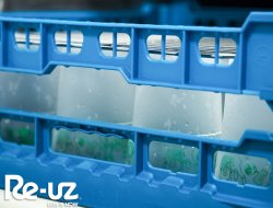 En Re-uz, la higienización de vasos y platos reutilizables se realiza en las propias instalaciones.