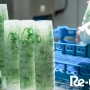 En Re-uz, la higienización de vasos y platos reutilizables se realiza en las propias instalaciones.